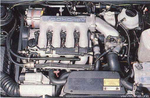 Ltd003_4.jpg