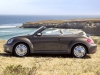 Beetle Cabrio 17