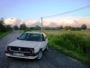 golfinka7